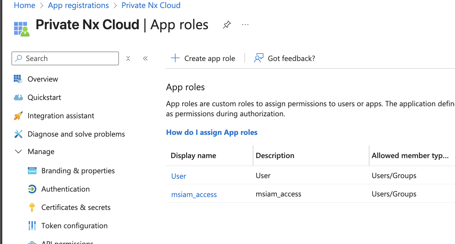 App roles page for the Private Nx Cloud app registration